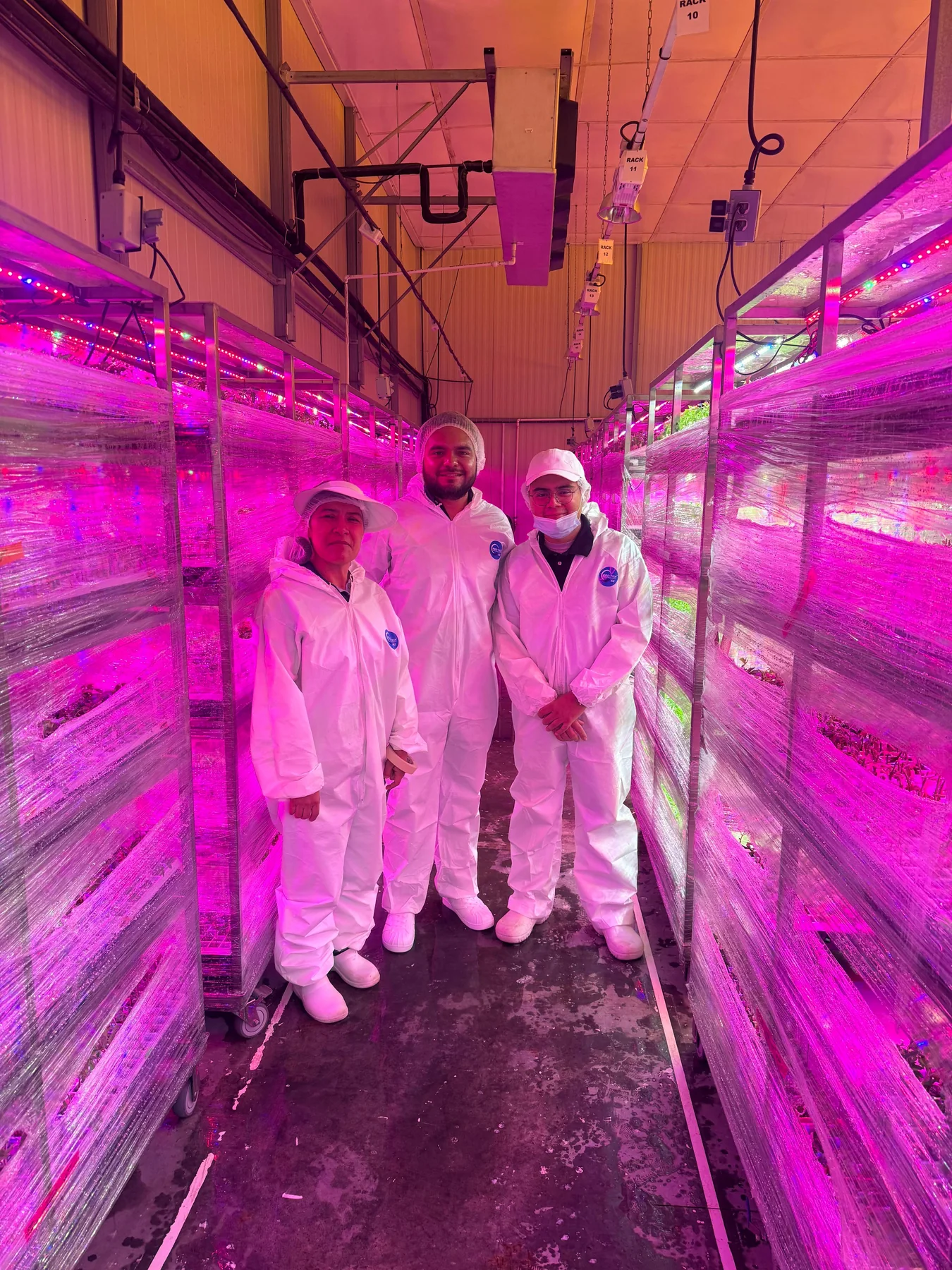 Semillero profesional con sistema de iluminación y equipo técnico